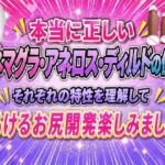 本当に正しい エネマグラ・アネロス・ディルドの使い方 それぞれの特性を理解して  とろけるお尻開発楽しみましょ(IZUMI KANAEアナルオナニーの部屋) [d_779945]