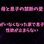 母と息子の禁断の愛〜父がいなくなった家で息子の性欲が止まらない〜(欲望愛着) [d_780248]