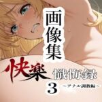解絡懺悔録3〜画像集〜(クロナゲ) [d_781486]