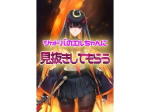 シャドウバース  エルちゃんに見抜きしてもらう(パンチラ見抜き研究部) [d_782538]