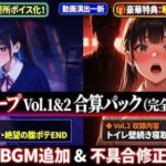 獄門ループ Vol.1＆2合算パック 〜車内拉致・トイレ壁越し・腹ボテ屈服バッドエンド〜【購入特典:ツンデレ看病＆睡眠姦ボイス付き】(ダダ太郎) [d_783012]