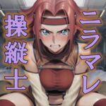 ニラマレ  操縦士(AAR) [d_783331]