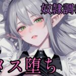 高慢なハイエルフを奴●調教してメス堕ちさせる話(境界熱) [d_783835]