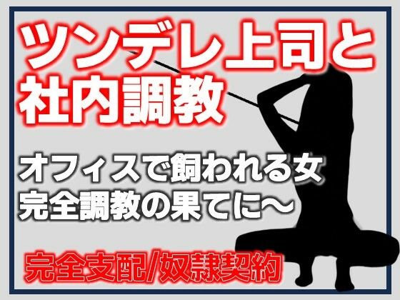 ツンデレ上司と社内調教(Aine Grace) [d_783843]