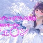 【ドレス美少女54】Dresscco フェルン(Dresscco) [d_784185]