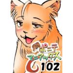 ［隔週刊］ポニテマニアックス 第102話 「サバンナの王者」 〜47歳エロビデオ屋店員が深夜バイト中に拾った痴女が最強宇宙人でしたーン〜(studio みゃーび) [d_784611]