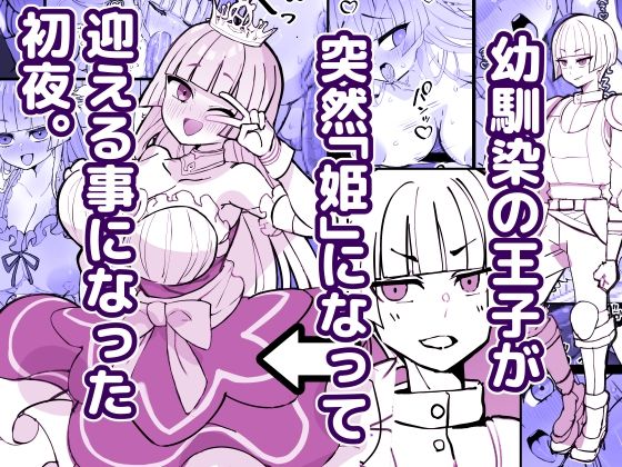 幼馴染の王子が突然「姫」になって迎える事になった初夜。(ひだかまいにち) [d_785745]