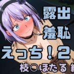露出！羞恥！えっち！二次創作イラスト集21［枝○ほたる］(ギリギリあんだーどっぐ) [d_748915]