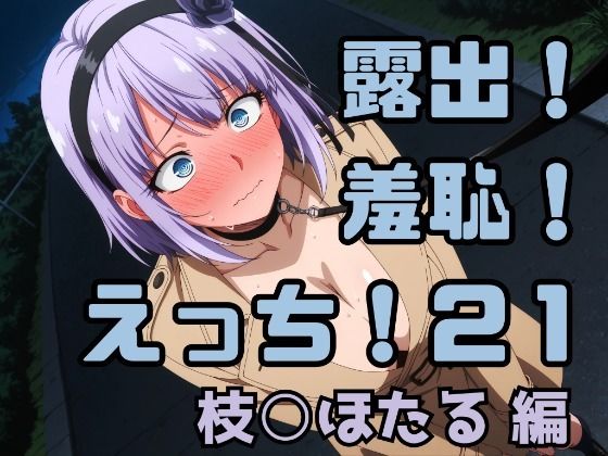 露出！羞恥！えっち！二次創作イラスト集21［枝○ほたる］(ギリギリあんだーどっぐ) [d_748915]