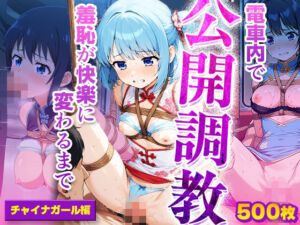 【電車内で公開調教】羞恥が快楽に変わるまで チャイナガール編(巨乳美女サークル) [d_779497]