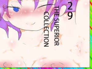 29 THE SUPERIOR COLLECTION(ヒロカワミズキ（スタジオ・ジナシスタ！！）) [d_781957]