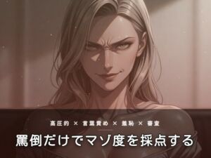 裏メニュー合格審査 〜触れずに罵倒だけでマゾ度を採点する夕暮れの面接〜(夜の息抜き) [d_785179]