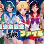 美少女戦士 調教ファイル セーラー◯ーン 篇(RITZ STATION) [d_787317]
