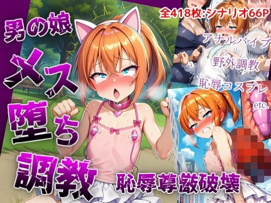 男の娘メス堕ち調教・恥辱尊厳破壊〜お姉さん達に恥ずかしい恰好で責められて尊厳破壊されメス堕ち屈服させられちゃう男の娘の話(saltワークス) [d_788501]