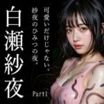 新人AIグラドル白瀬紗夜、誰も来ない夜の公園でこっそりひみつ撮影 Part1(え〜あい出版) [d_788889]