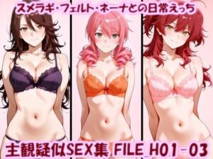 主観疑似SEX集 FILE_H01-03 スメラギ・フェルト・ネーナとの日常えっち(美乳淫) [d_789449]