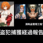 窃盗犯捕獲経過報告書(土恵寿奈わんこ) [d_789617]