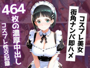 【464枚】街角コスプレ美女をナンパ即ハメ！メイド・バニー・警察官・チャイナドレスが次々堕ちる中出し性交(コヨイラボ) [d_789912]