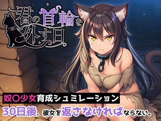 君の首輪を外す日(ヒヒイロカネ密売所) [d_789915]