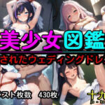 美少女図鑑  穢されたウェディングドレス(十九亭) [d_790315]
