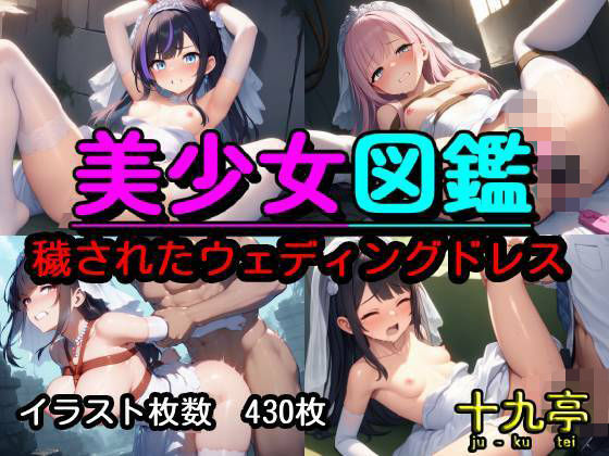 美少女図鑑  穢されたウェディングドレス(十九亭) [d_790315]