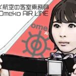 オメ航空の客室乗務員(あいうえ男) [d_790922]
