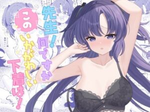 先生！何ですかこのいかがわしい下着は！(くるみのアトリエ) [d_790957]