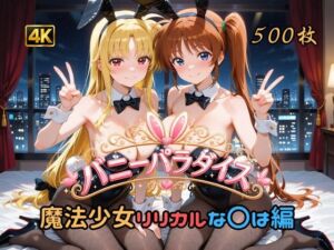 バニーパラダイス 魔法少女リリカルな〇は編(はやぶさ工房) [d_791393]