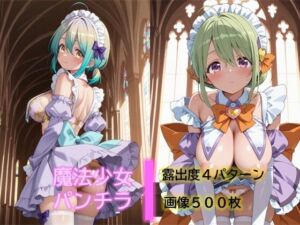 魔法少女のパンチラ4(D.P.H.) [d_791623]