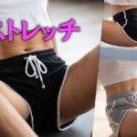 ストレッチ(AI Library) [d_791711]