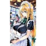 【100 ver】〇ィアーユ メイド(truo) [d_791717]