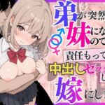 弟が突然妹になったので責任もって中出しセックスして嫁にします(ぷにぱんまん) [d_792337]