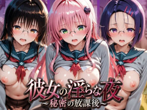 彼女の淫らな夜 〜秘密の放課後〜 T〇LOVEる(ふわもこ庵) [d_793521]