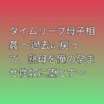 タイムリープ母子相姦 〜過去に戻って、熟母を俺の孕ませ性奴に堕とす〜(らぶらぶ) [d_793929]