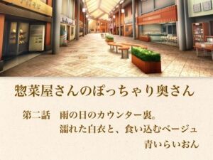【官能小説】惣菜屋さんのぽっちゃり奥さん  第二話  雨の日のカウンター裏。濡れた白衣と、食い込むベージュ(青いらいおん) [d_794910]