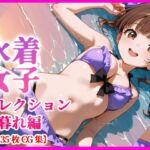 水着少女コレクション  夕暮れ編  【135枚＋特典動画付き】(月夜にだけ許されること) [d_795155]