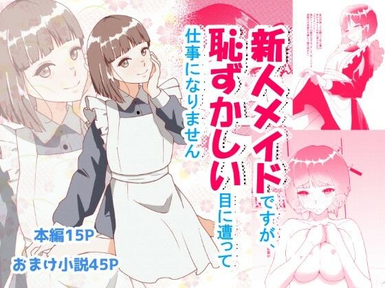 新人メイドですが恥ずかしい目にあって仕事になりません(ひっそりけいこ) [d_796058]
