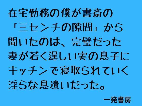 在宅勤務の僕が書斎の「三センチの隙間」から聞いたのは、完璧だった妻が若く逞しい実の息子にキッチンで寝取られていく淫らな息遣いだった。(一発書房) [d_796576]