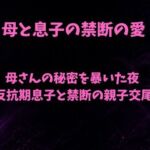 母さんの秘密を暴いた夜〜反抗期息子と禁断の親子交尾〜(欲望愛着) [d_797047]