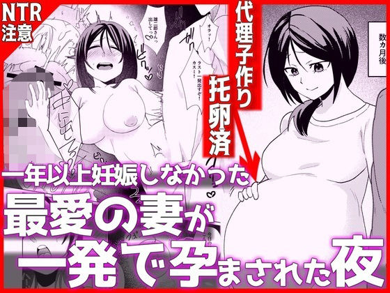 1年以上妊娠しなかった最愛の妻が一発で孕まされた夜(音鳥心愛) [d_798372]