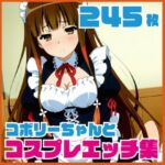 コ〇リーちゃんのコスプレエッチ集  245枚(ルナスケッチ) [d_730325]