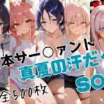 日本サー○ァント真夏の汗だくS○X(かわいあい) [d_791635]