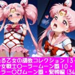 夢見る乙女の調教コレクション13〜美少女戦士〇ーラームーン風10・ちび〇さ風・緊縛編(ぱてぃすりーず) [d_792404]