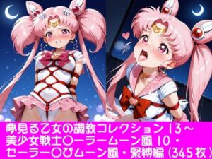 夢見る乙女の調教コレクション13〜美少女戦士〇ーラームーン風10・ちび〇さ風・緊縛編(ぱてぃすりーず) [d_792404]