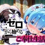 Re:ゼロから始まるご奉仕生活(ぬるぬるアニメ工房) [d_794476]
