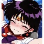 触！火の戦士(正義のヒロイン団) [d_796047]