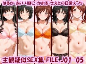 主観疑似SEX集 FILE_J01-05 はるか・あい・りほこ・かおる・さえとの日常えっち(美乳淫) [d_798113]
