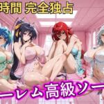 朝から晩までハーレム高級ソープ 【ハイスクールD×D】(ヒロインズ) [d_798772]