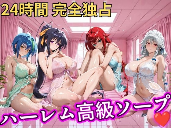 朝から晩までハーレム高級ソープ 【ハイスクールD×D】(ヒロインズ) [d_798772]