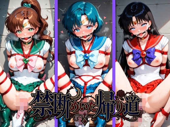 禁断めいた帰り道 セ〇ラームーン No.2(POYOPOYO) [d_799590]